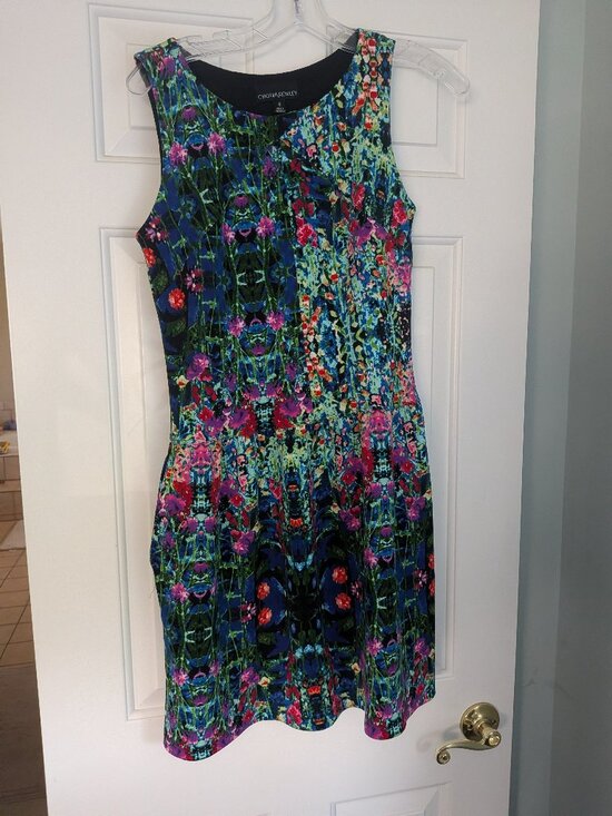 Cynthia Rowley Dresses & Skirts - Cynthia Rowley Sleeveless Floral Fit & Flare Dress Size 6 NWOT